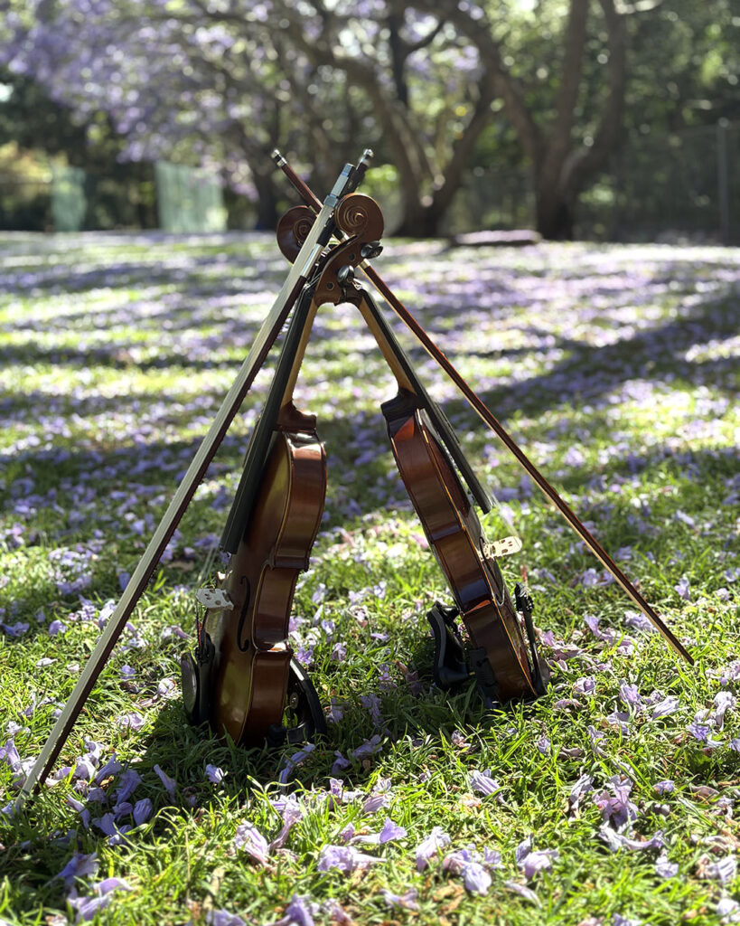 Two violins leaning against each other on a sunlit, grassy lawn covered with fallen purple jacaranda petals.