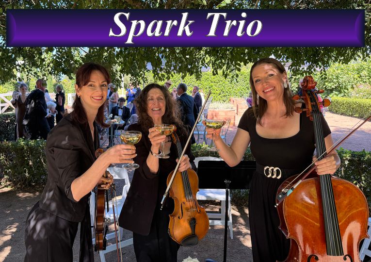 Professional female string trio performing live music for an outdoor wedding in Sydney.