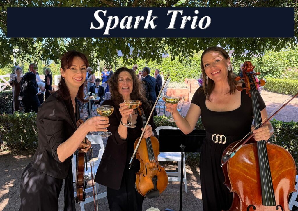 Professional female string trio performing live music for an outdoor wedding in Sydney.