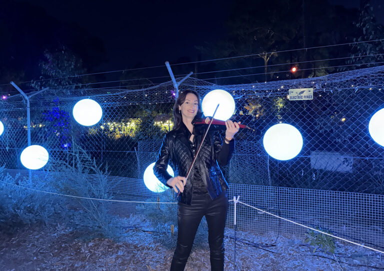 Professional solo electric violinist performing live with a wireless audio system at an evening outdoor wedding reception.