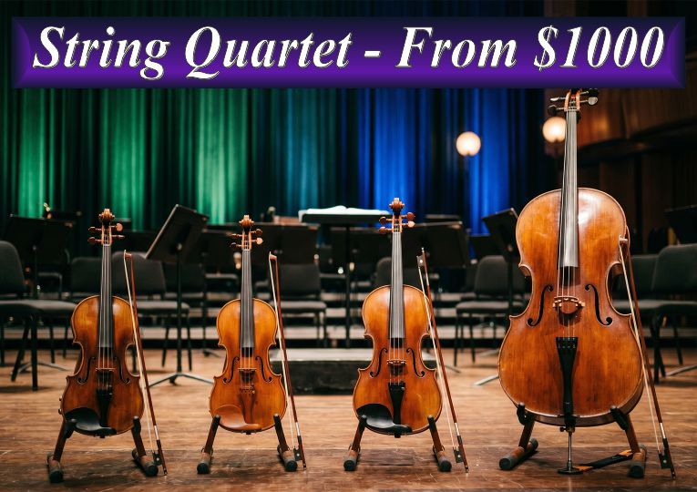 Professional Sydney string quartet ensemble featuring three violins and a cello on stage, with booking prices starting from $1000.