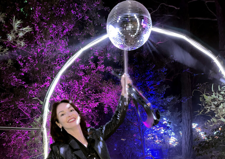Professional female solo violinist performing live at an outdoor evening birthday party event.