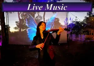 Promotional icon featuring a professional electric violinist performing live, designed for event entertainment booking.