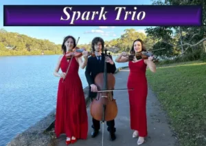 Professional string trio performing live music for an outdoor wedding in Sydney.