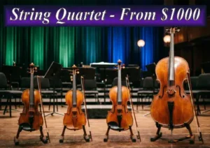 Professional Sydney string quartet ensemble featuring three violins and a cello on stage, with booking prices starting from $1000.