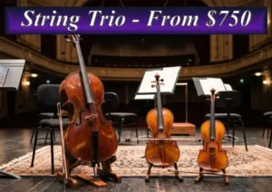 A professional string trio ensemble including a cello and two violins on a stage, with event booking prices starting from $750.