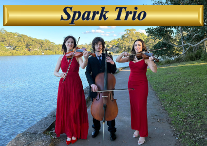 Professional string trio performing live music for an outdoor wedding in Sydney.