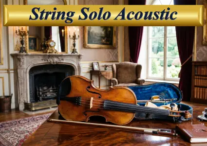 Professional solo violinist or cellist for hire in Sydney, with performance packages starting from $300.