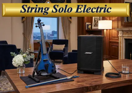 Blue electric violin and Bose speaker setup for amplified solo violinist hire in Sydney