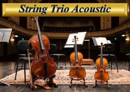 A professional string trio ensemble including a cello and two violins on a stage, with event booking prices starting from $750.