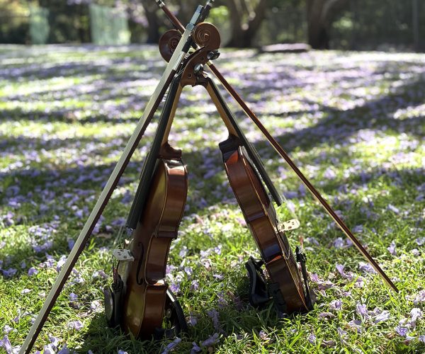 Two violins leaning against each other on a sunlit, grassy lawn covered with fallen purple jacaranda petals.